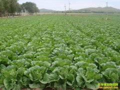 [ũ�����]������ײ����༼����Ƶ