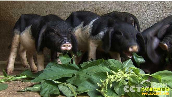 [�¸���]������ˮ��ѧ��¬���Ļ�ɽ���μ�