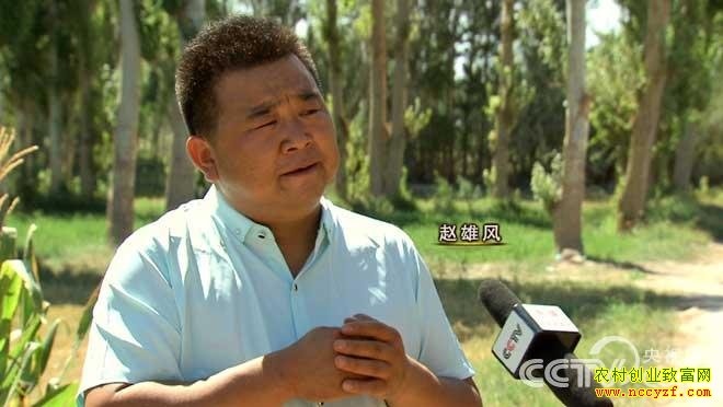 [�¸���]������ݴ�ѧ�����۷���ֳ÷��¹��ҵ�¸���Ƶ