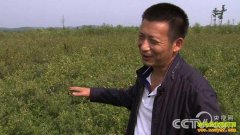 [�¸���]Ұ����ݮ���������ϵĴ���Ƹ�����