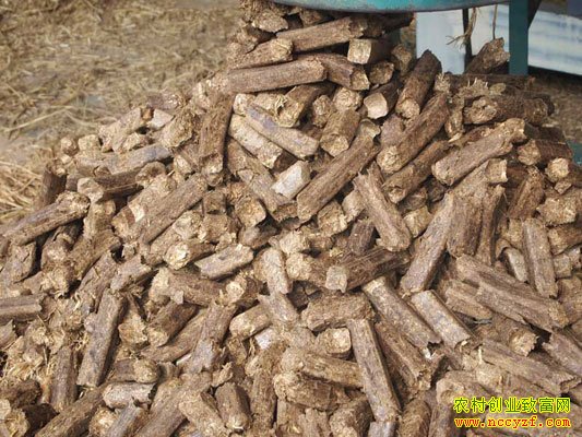 �ո�����