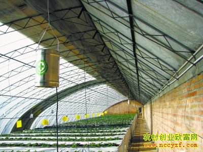 ���Ѭ����ͼƬ