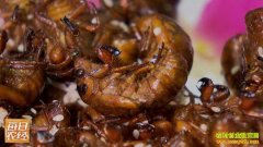 [ÿ��ũ��]��������Ľ��������׬��Ǯ