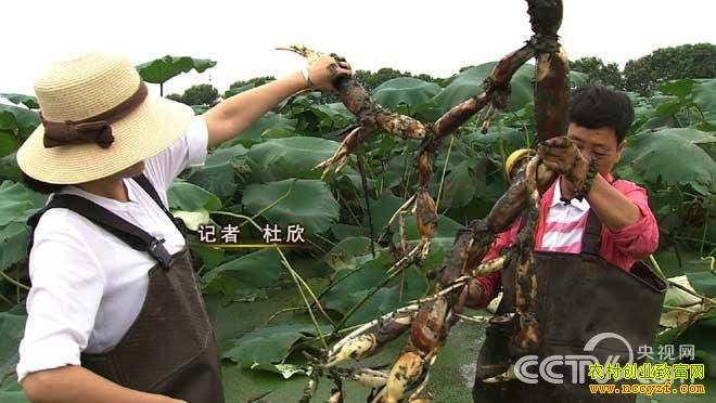 [�¸���]�㽭����62������ɽ������ź���̻�֮��