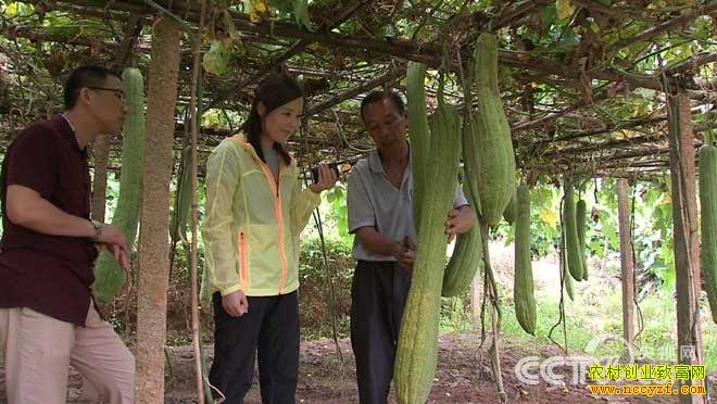 [�¸���]����������Ľ�����˿����ĲƸ�����