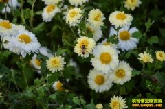 �¸��ð����������־ջ� ��׬�ϰ���