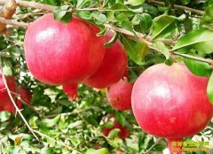 [ũ�����]�������ʯ��������