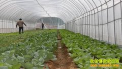 [ũ�����]���Ҵ����߲�ũҩ�������Ƽ���