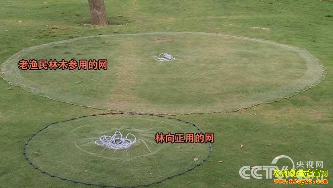 �¸�������ס�Ƹ�