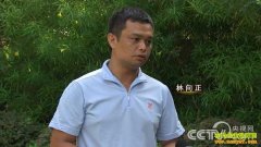 [�¸���]�㶫��ͷ������������������ס�Ƹ�