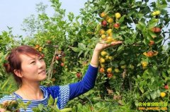 [ÿ��ũ��]�����족���Ե�Բ��������˰�