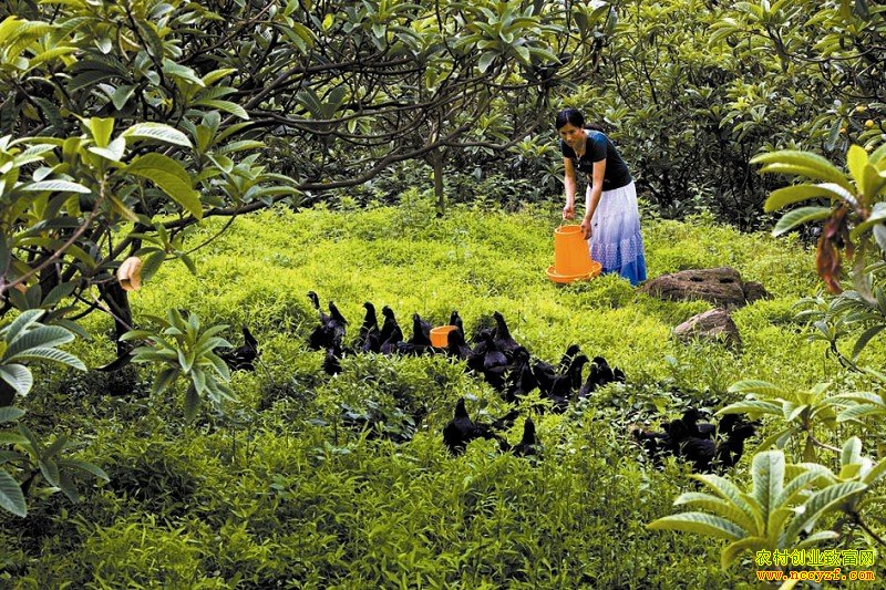 �����������ڼ�