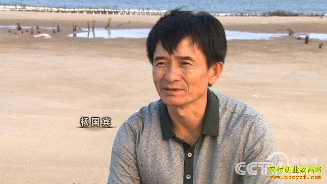 [�¸���]��������������Ȳ�ʱ������ʯ������ֳ�̻�