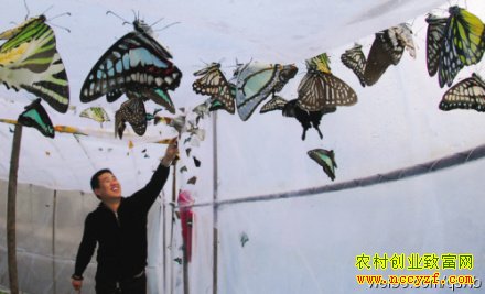 ������ֳ����