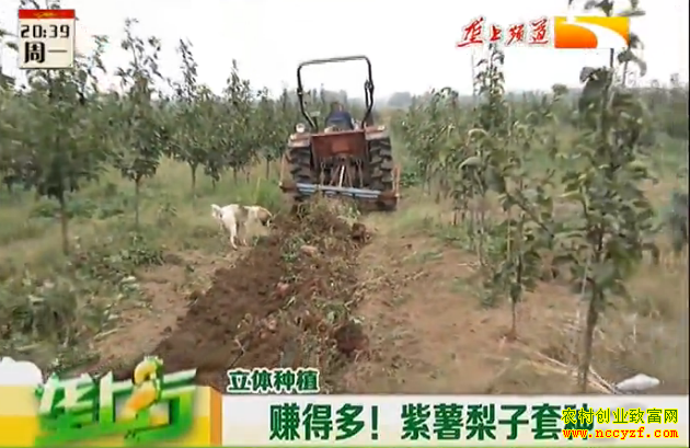 ¢������ֲ�¸���Ŀ����������������  Ķ׬2��Ԫ