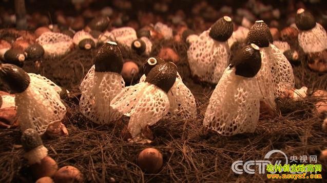 ��������ݥ��ͷ�����ĲƸ�