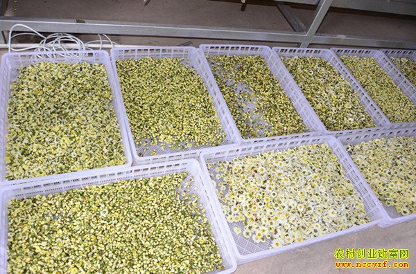 �ӹ��¸���Ŀ���ӹ��ջ� ����һ��