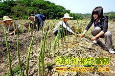 «����ֲͼƬ