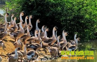 ���������900���������¸� 