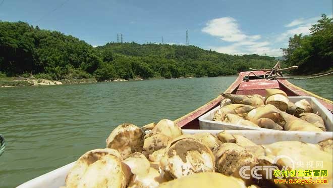  �������ס���ɫʱ�ա���Ŀ���㣺9��6��