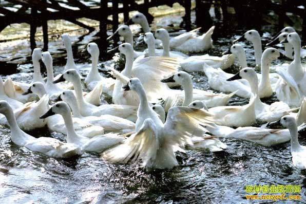 ���ǰ�ѼͼƬ