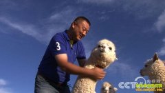 [�¸���]���ɹųٺ���Ҫ����ֳ����׬��Ǯ