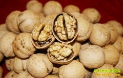 [ÿ��ũ��]��Į��Ե���ﱡƤ�����ܳ�