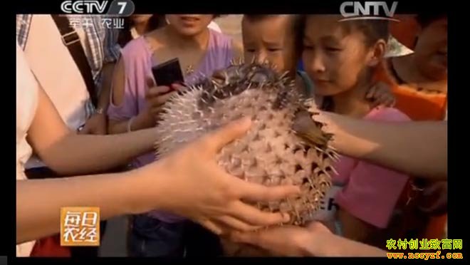 ������ֳͼƬ