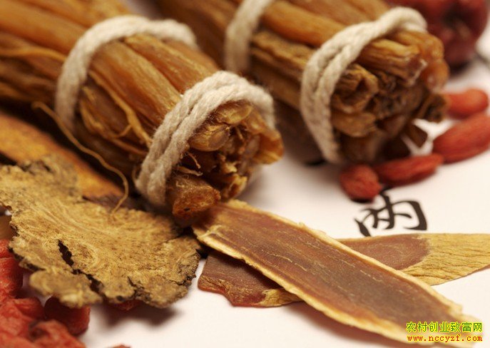 ��ҩ���г�