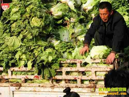 �߲�����