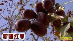 [�۽���ũ]�½��������˻���۸�