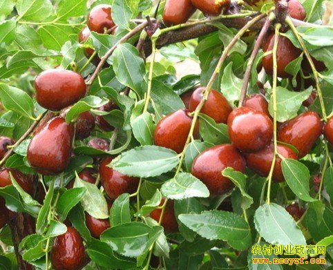 �ӱ���̨��·�������ÿ��¸��� 