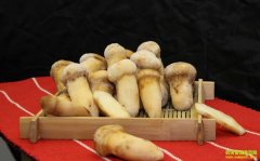 ���������������� ��������΢��������������Ԫ