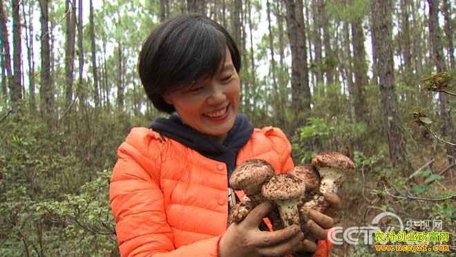 �¸�������ͻ����ج�ıƽ���ɽ