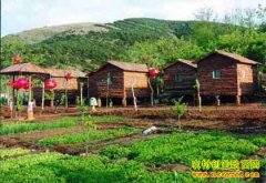 推荐四个赚钱的农村致富项目