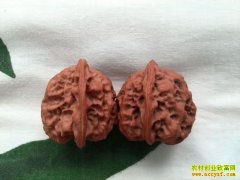 [ÿ��ũ��]���ܳԵ�������Ҹ�׬Ǯ