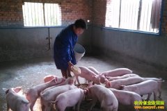 ��������80��С����������������¸�·