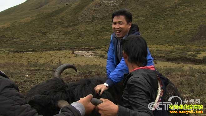 �����ҹ�����ƽ�����Ƹ�������