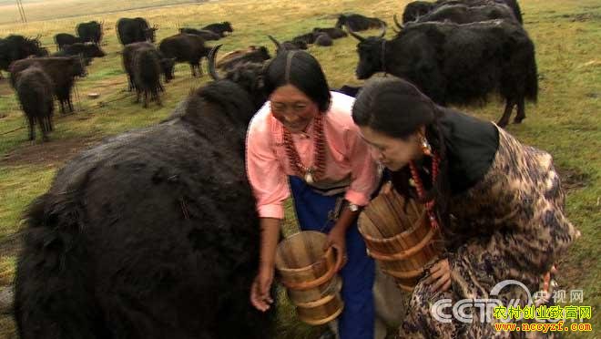 �����ҹ�����ƽ�����Ƹ�������