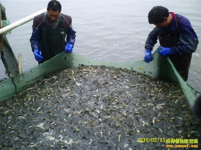 �������¸�