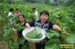 [�����е�]������������������������¸�