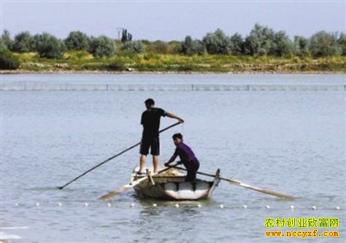 [�Ƽ�Է]���Ӿ����㻹�ܲ�ιʳ