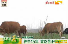 ��ֳ�¸���������������ţ15��ϳԿ಻����