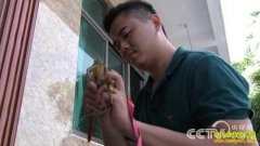 [�¸���]׿��Է�����׬����ֻΪһ�������з