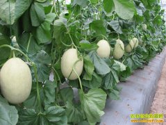 [ũ�����]�����5�š���ϵ���ʩ���༼����Ƶ