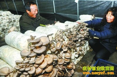 ����������ʳ�þ������¸�·