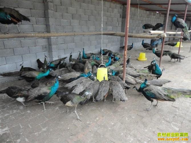 [�����е�]�㽭���˸߷�ð�յĿ�ȸ��ֳ�Ƹ�֮��