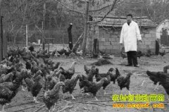 ��ר�����ѽ���«������ֳ�¸���