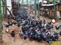 ɽ����Ȫ��ά����ֳ�����������¸�·