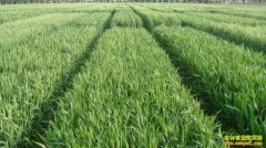 [ũ�����]��С�󿪻����ཬ�����ڹ���������Ƶ